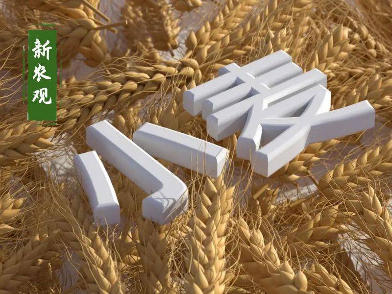 原創託市小麥拍賣清單出來了！小麥行情要反轉？