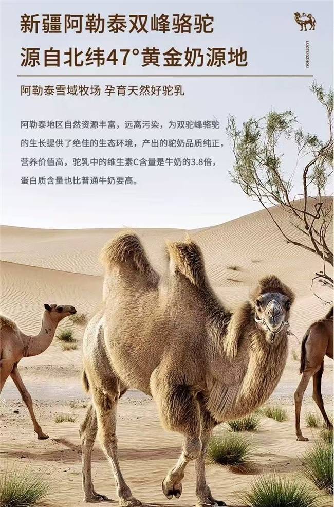 2025駝奶粉，評測駝奶粉哪個品牌是正品駝奶？