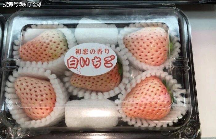 原創日本水果賣成iPhone價？背後邏輯太顛覆