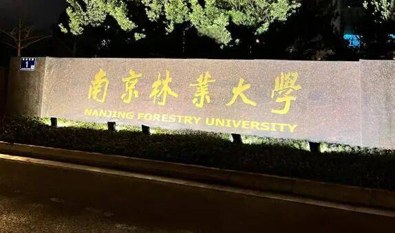 南京林業大學2026屆保研747人，土木工程32人