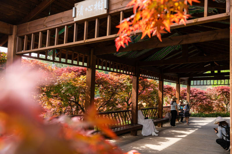 2025影像盤點 | 與山河同呼吸——攝影師 張雲霞