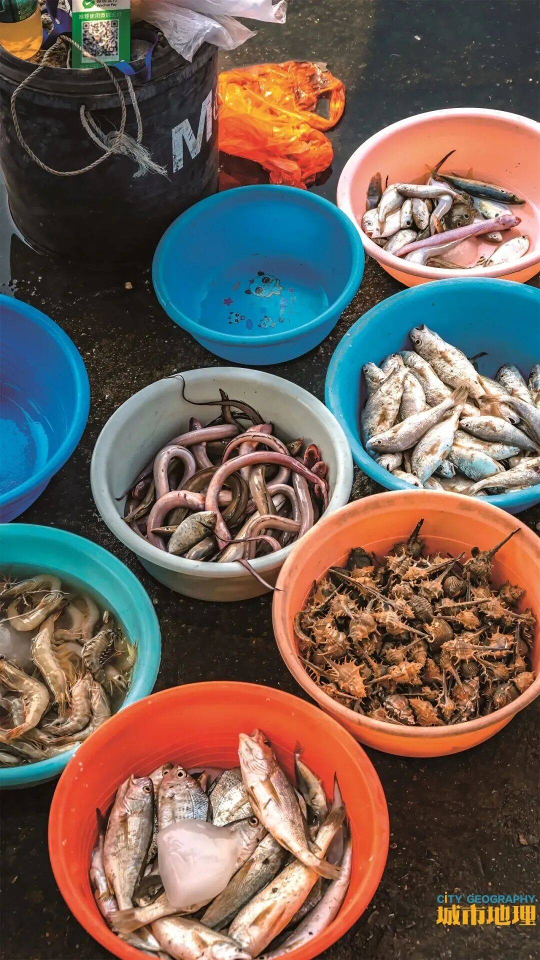 夜讀 | 汕尾美食的盡頭，是“生吃大海”