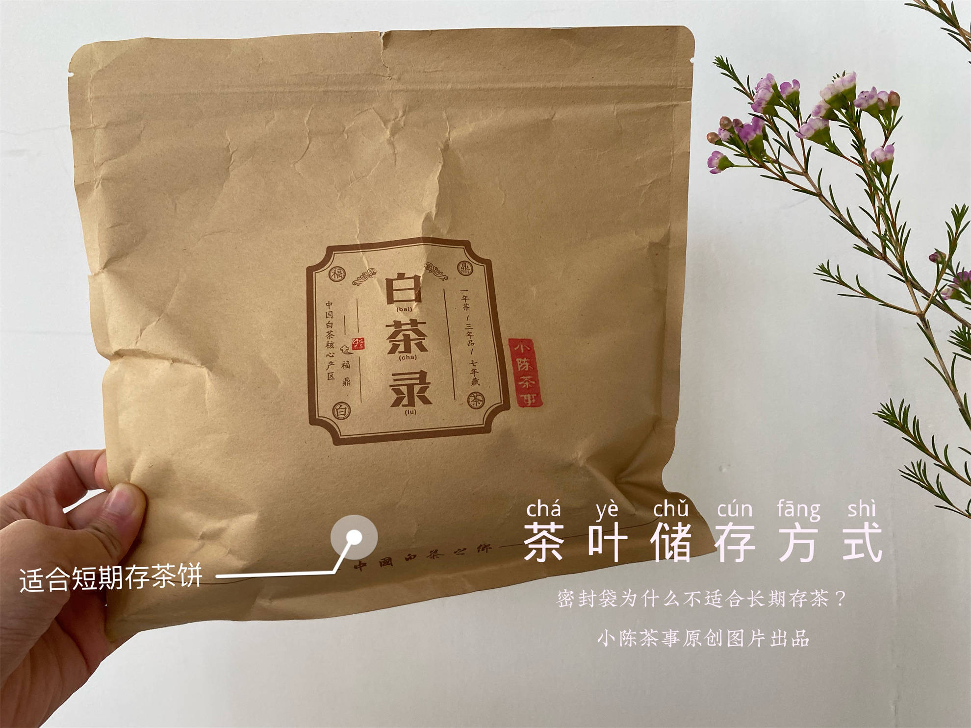 幾千塊的茶葉，別毀在幾毛的密封袋上！茶葉密封袋，你選對了嗎？