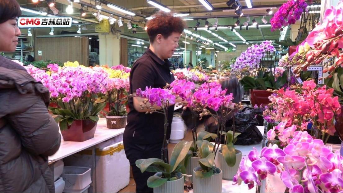 元旦假期長春水果花卉市場購銷兩旺 節日消費市場暖意濃