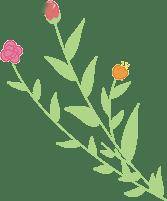 為啥外國女人生孩子不“坐月子”，中國女人要“坐月子”？