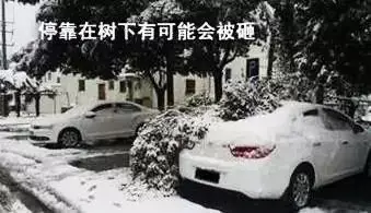 別光看雪景啦！雪天行車安全指南，速速收藏！