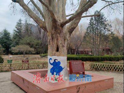 收藏！在泉城坐著地鐵逛公園最新攻略來啦