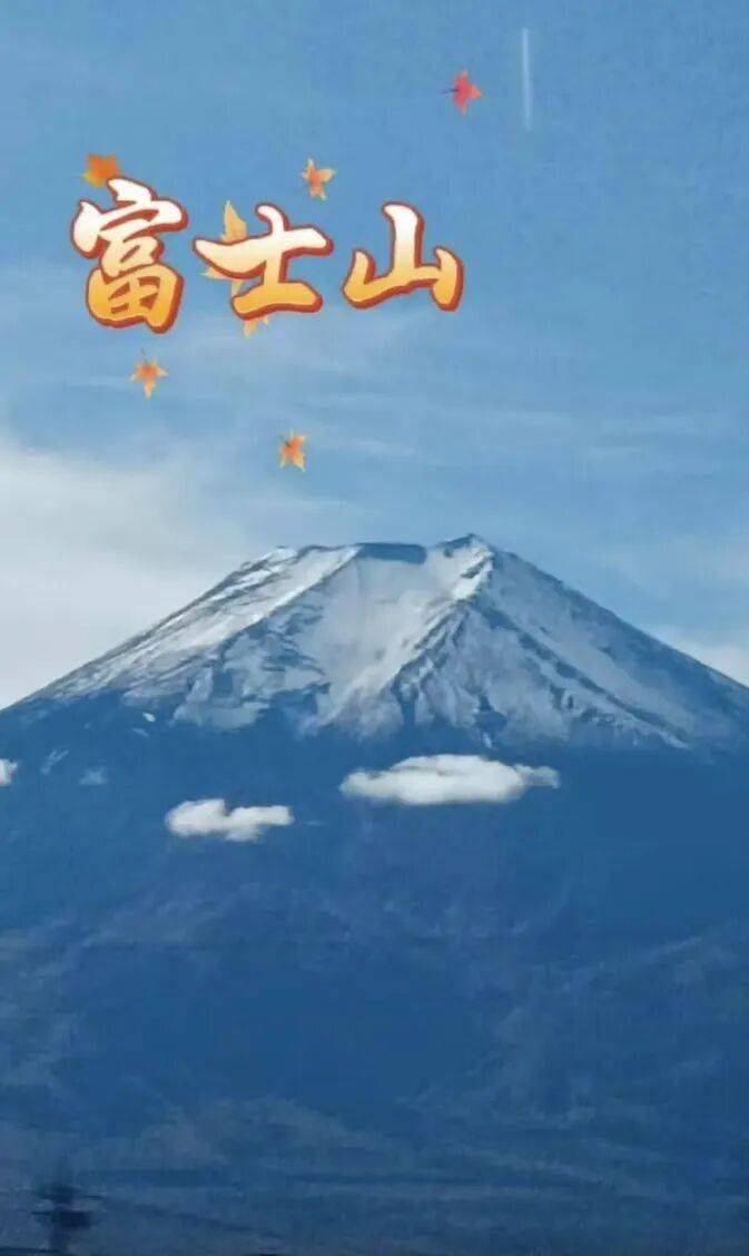 老年人出國旅遊到底有多real？